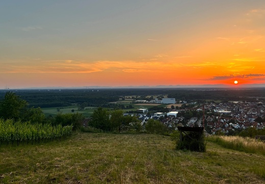 22-06-15 21-23-01 1113